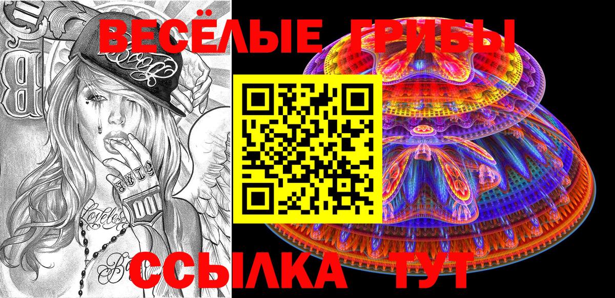 Пугачёв  Псилоцибиновые грибы ЛСД  Галлюциногенные грибы Cubensis  Вход с VPN 